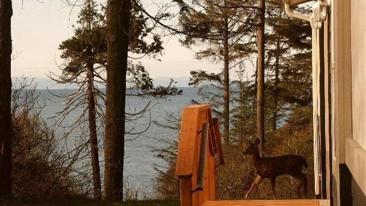 Photo of Others in Port Angeles