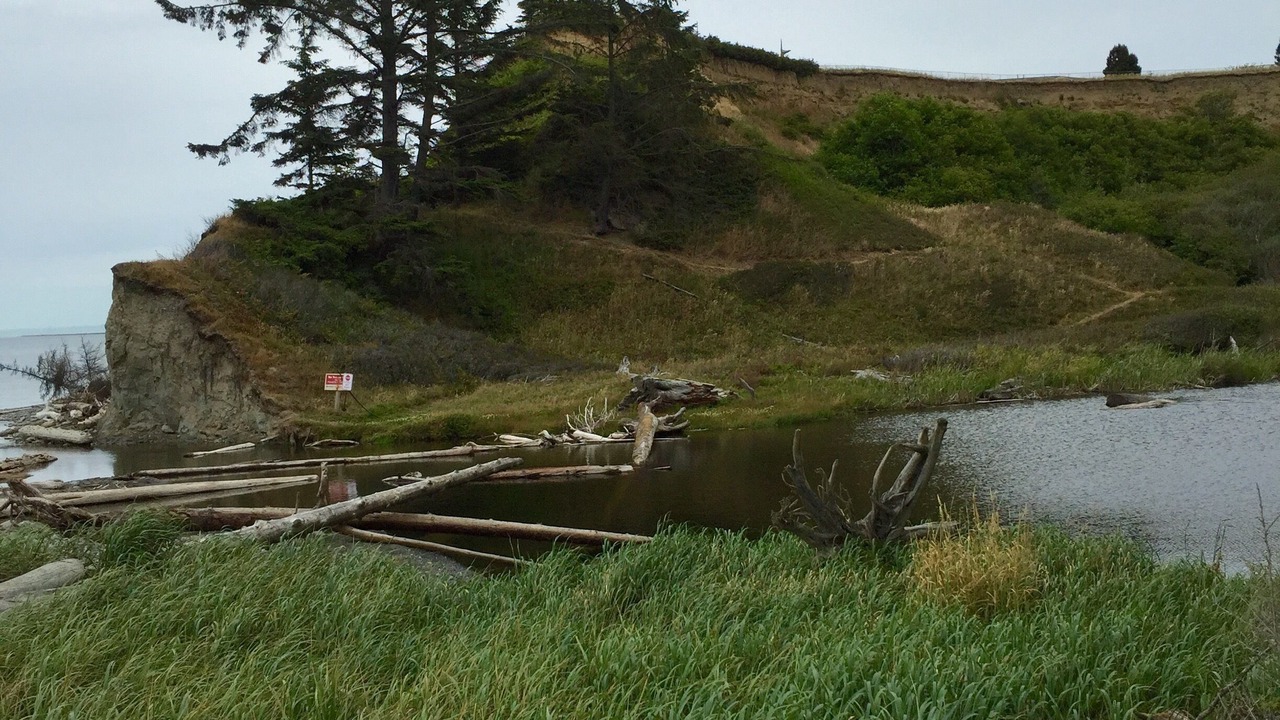 Photo of Others in Port Angeles