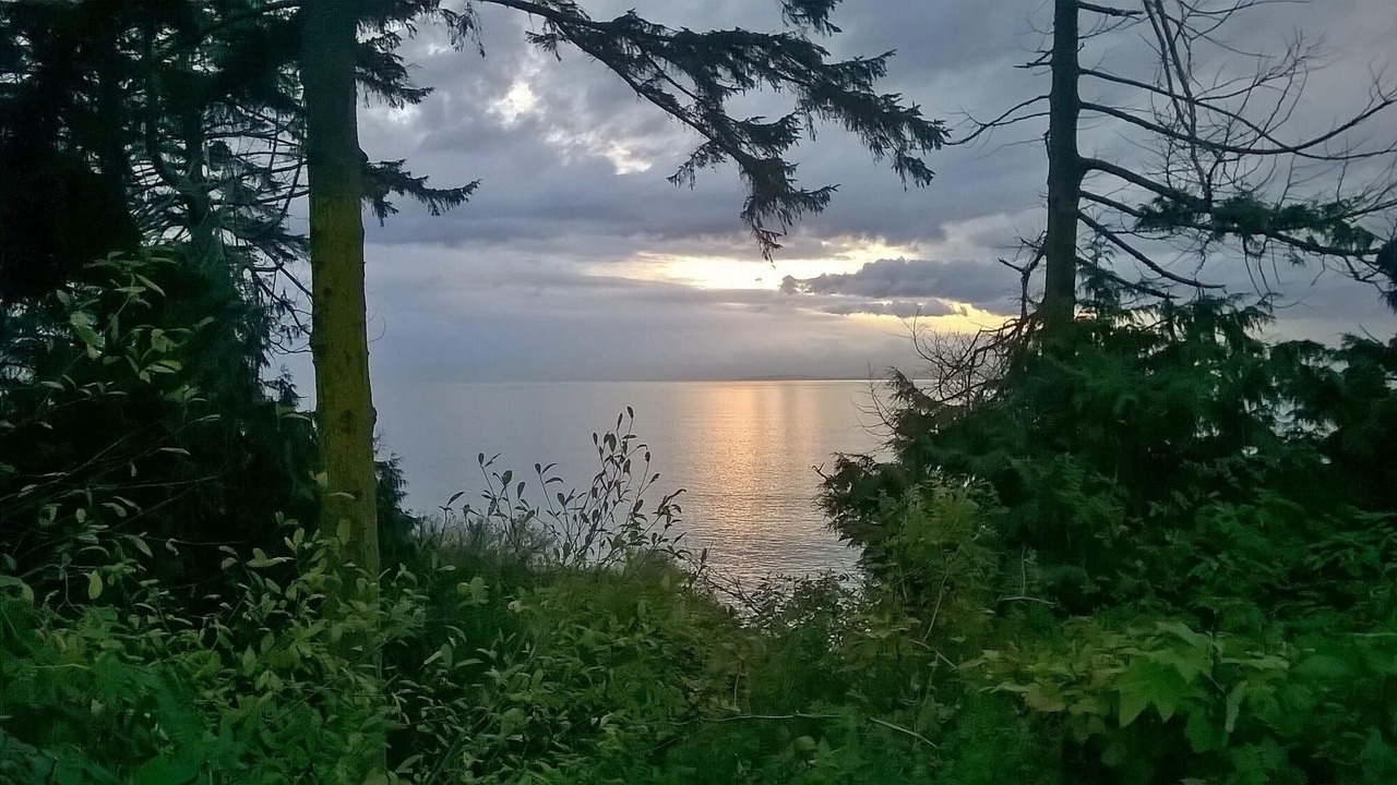 Photo of Others in Port Angeles