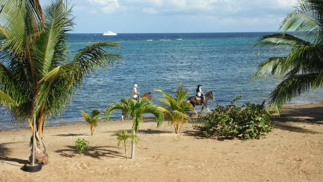Photo of Others in Antoneys Cay