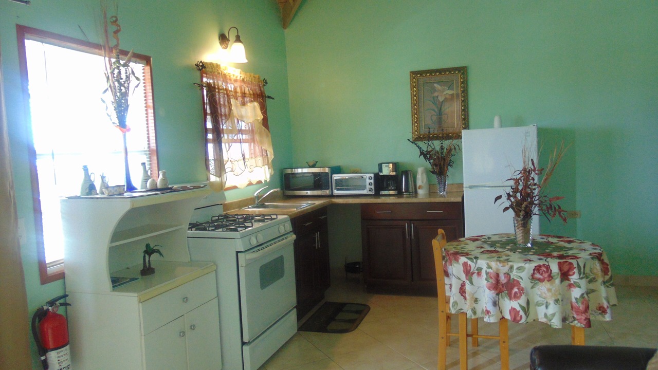 Photo of Kitchen in St. John's