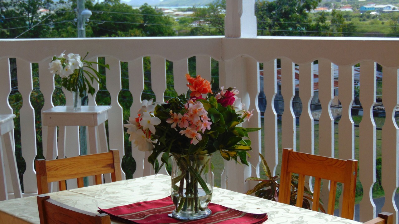 Photo of Outdoor in St. John's