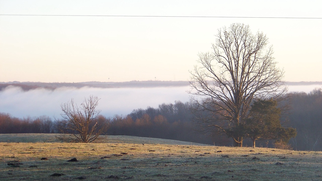Photo of Others in Steelville