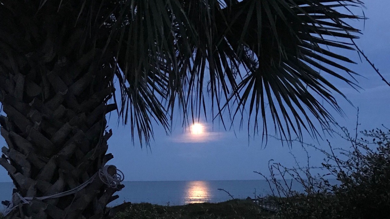 Photo of Others in Crescent Beach