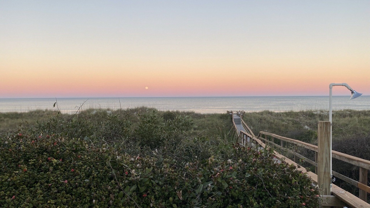 Photo of Others in Crescent Beach