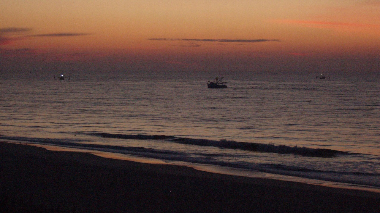 Photo of Others in Sneads Ferry