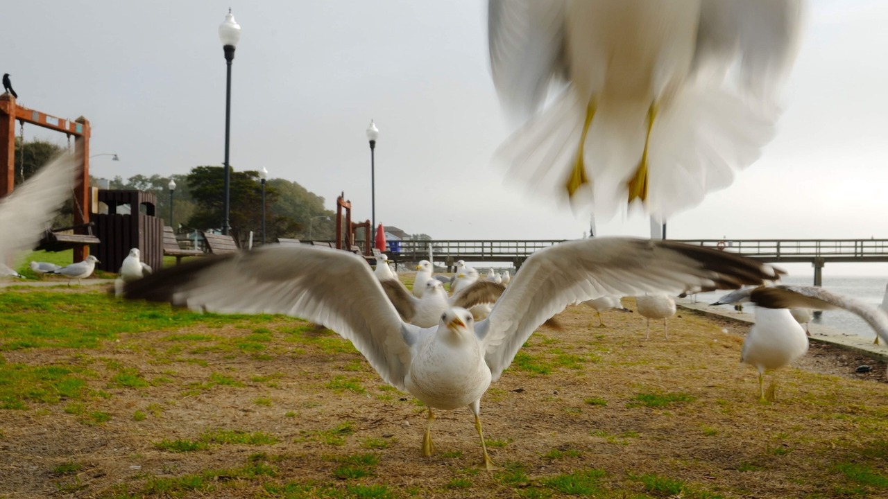 Photo of Others in Long Beach