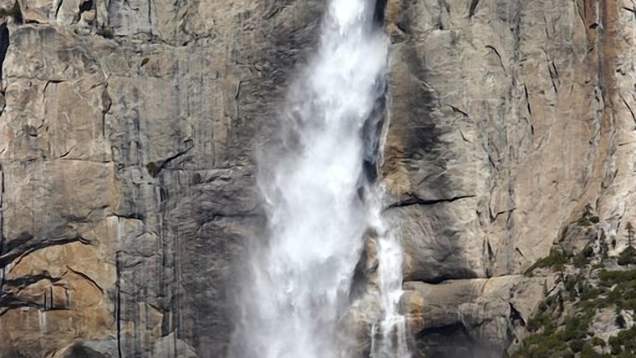 Photo of Others in North Wawona