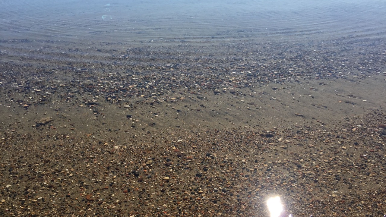 Photo of Others in Battle Lake