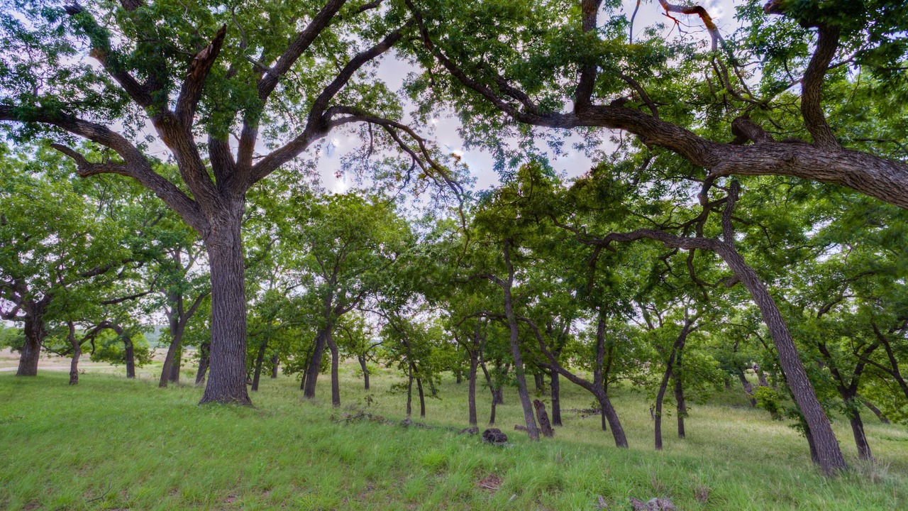 Photo of Others in Uvalde