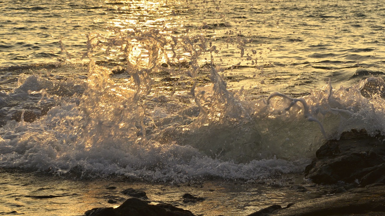 Photo of Others in Waikoloa