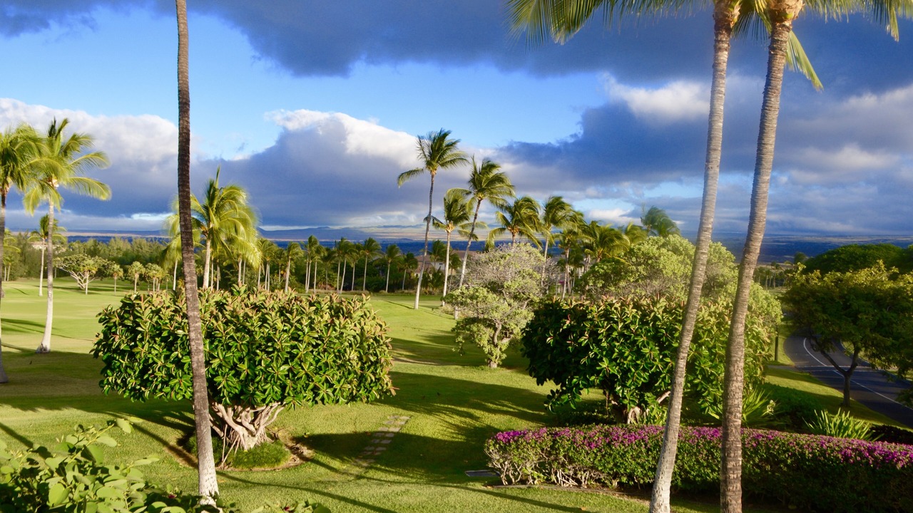 Photo of Others in Waikoloa