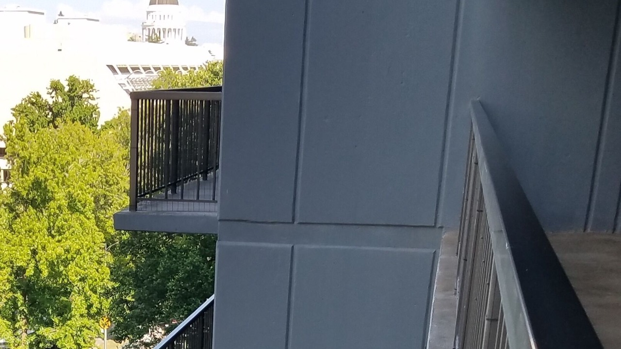 Photo of Others in Downtown Sacramento