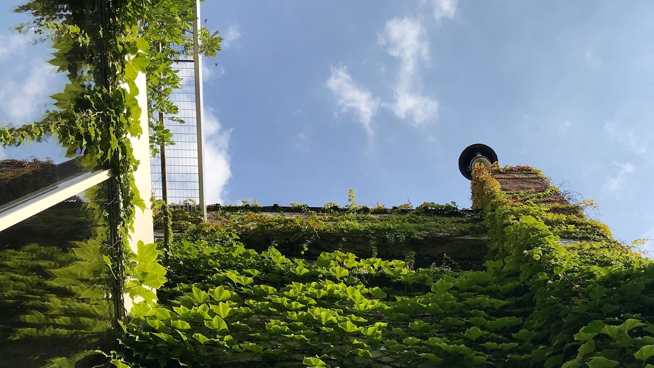 Photo of Outdoor in Borgerhout