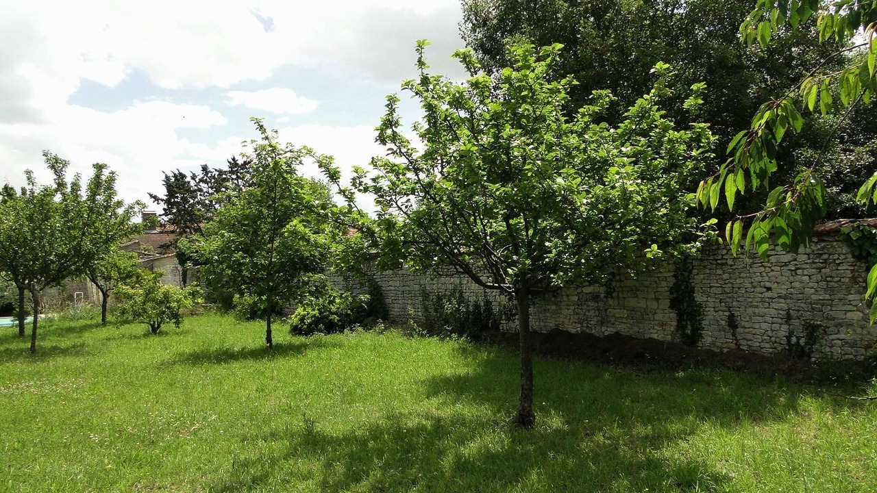 Photo of Outdoor in Andilly