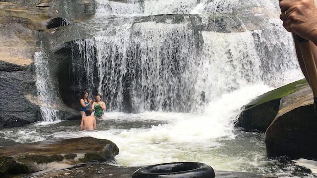 Photo of Others in Balsam Grove