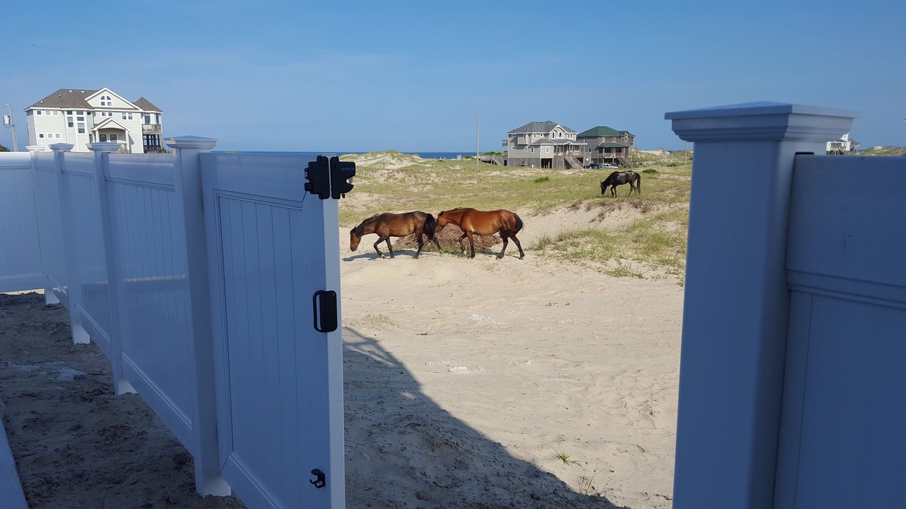 Photo of Others in Carova Beach