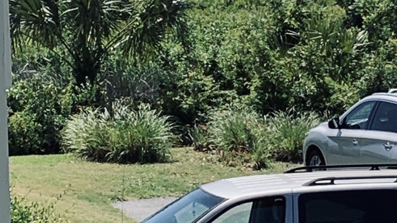 Photo of Patio Balcony in Folly Field