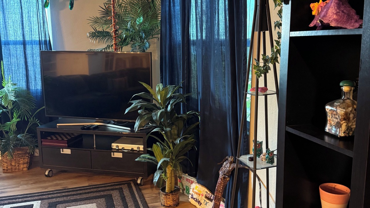 Photo of Livingroom in West End