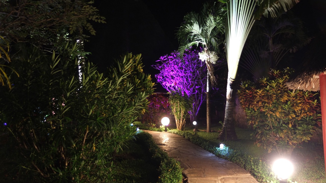 Photo of Outdoor in Galu