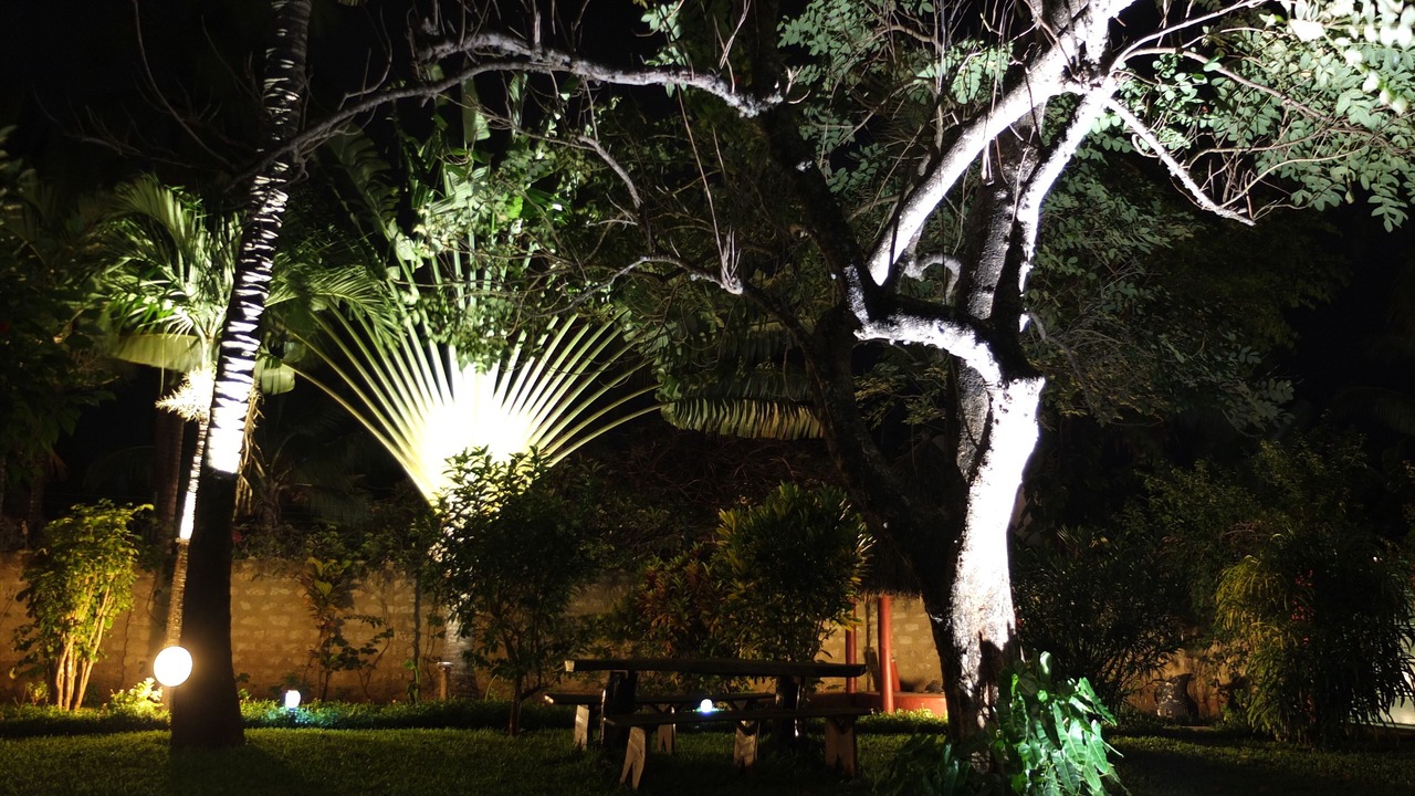 Photo of Outdoor in Galu
