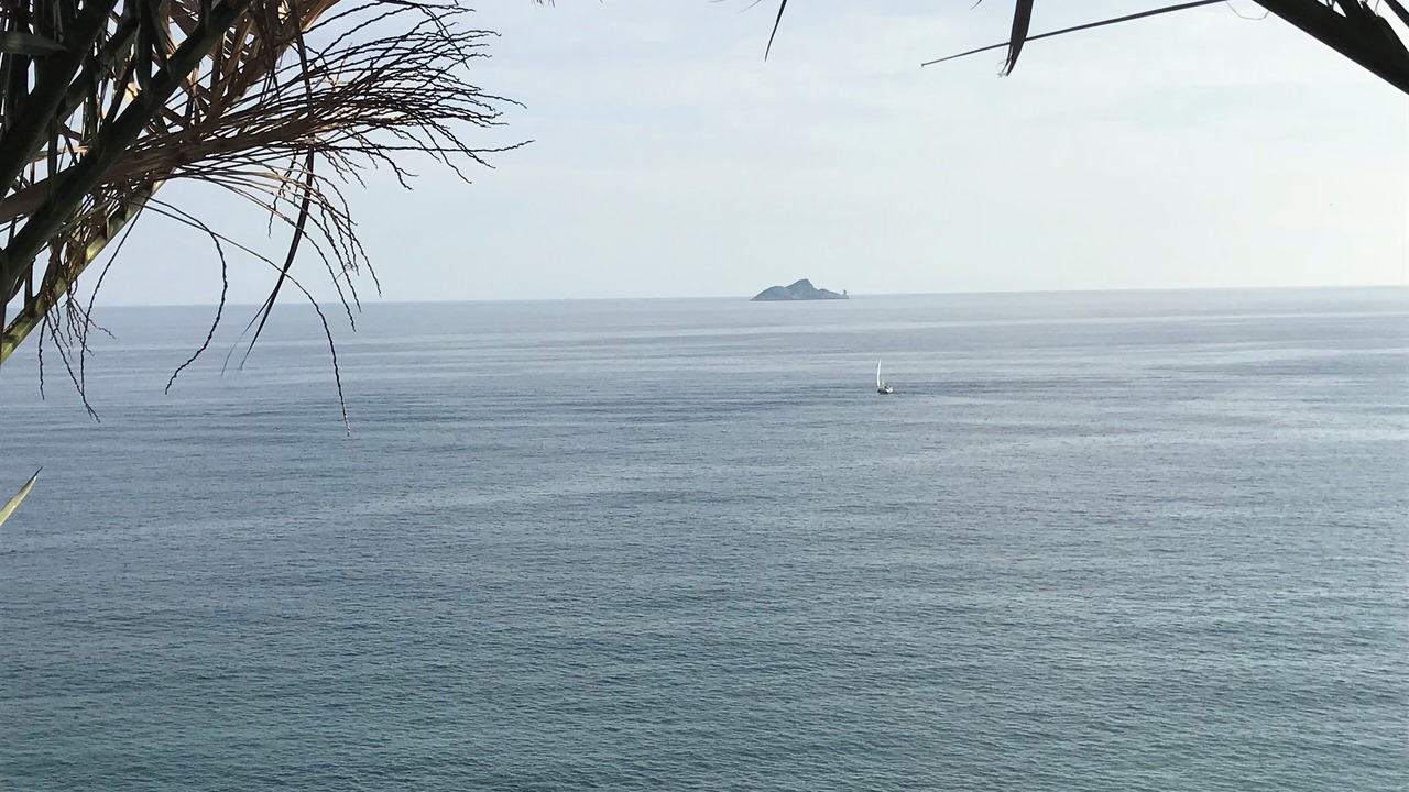 Photo of Others in Piombino