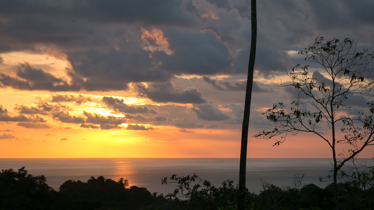Photo of Others in Valle Pura Vida