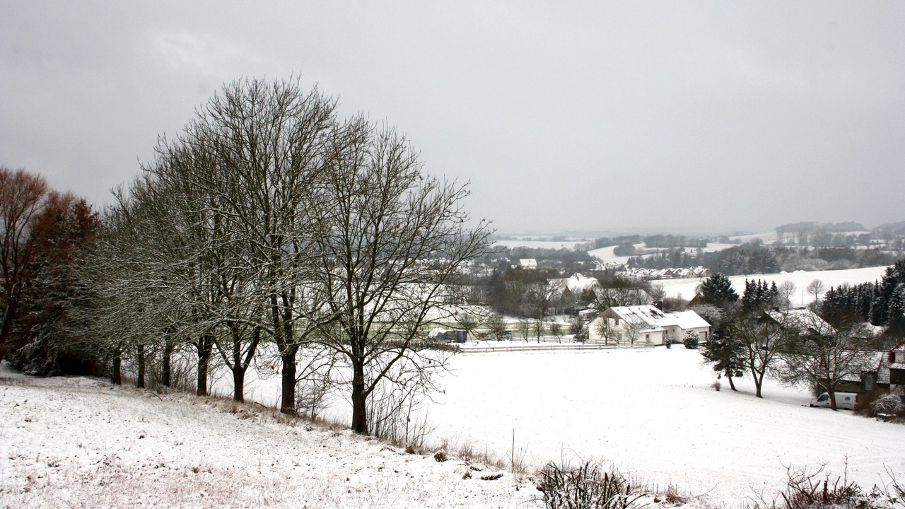 Photo of Others in Detmold