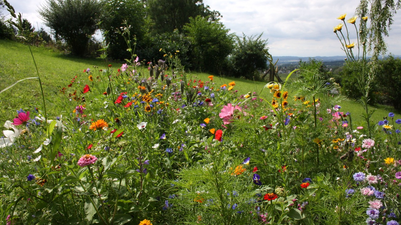 Photo of Outdoor in Detmold