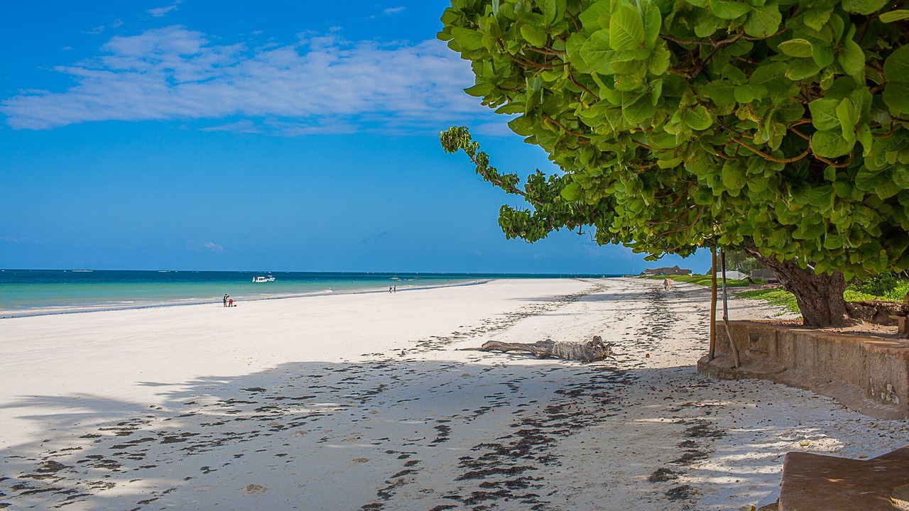 Photo of Others in Diani Beach