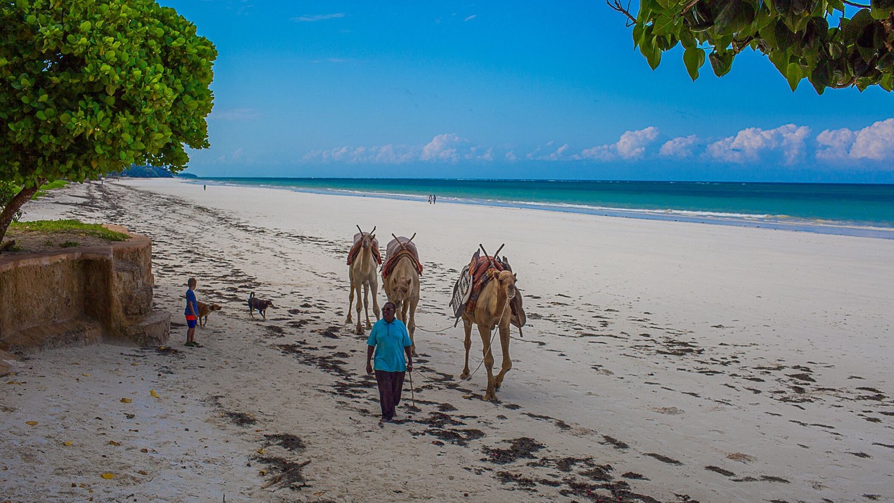 Photo of Others in Diani Beach