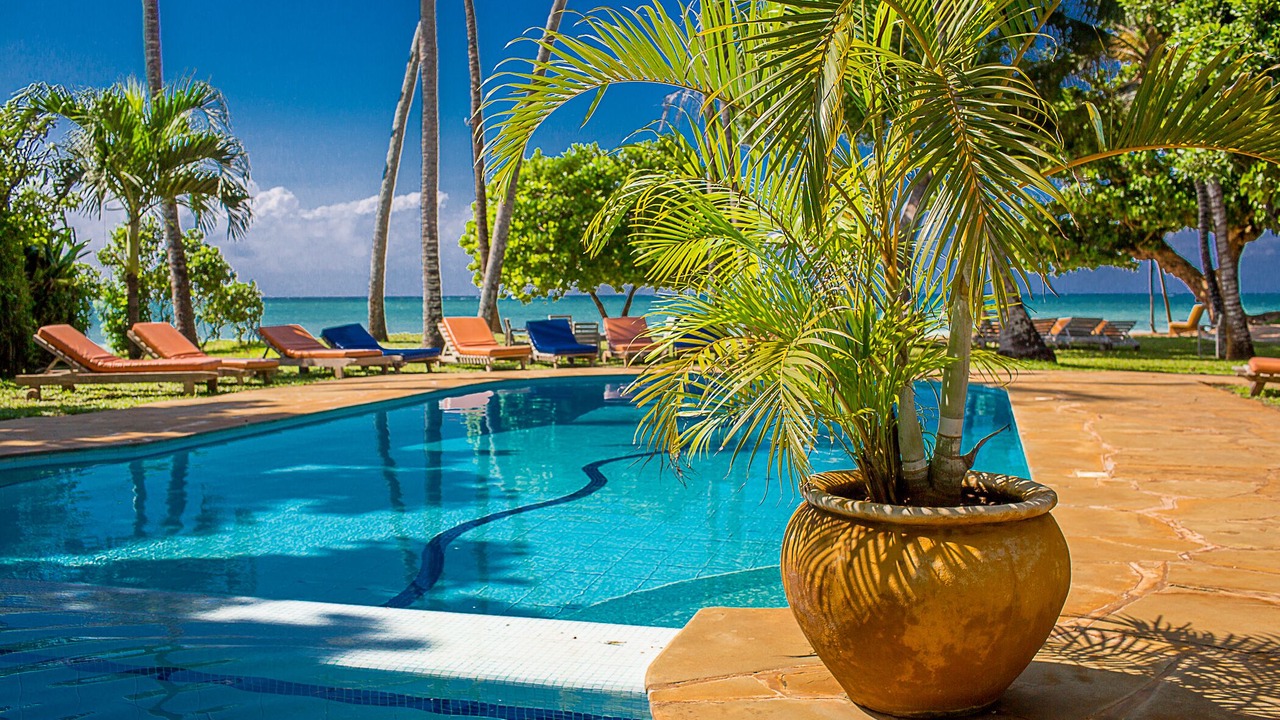 Photo of Outdoor in Diani Beach
