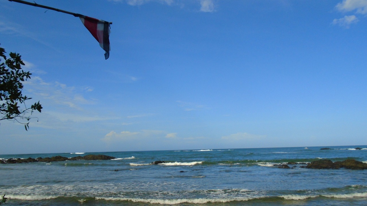 Photo of Others in Marbella