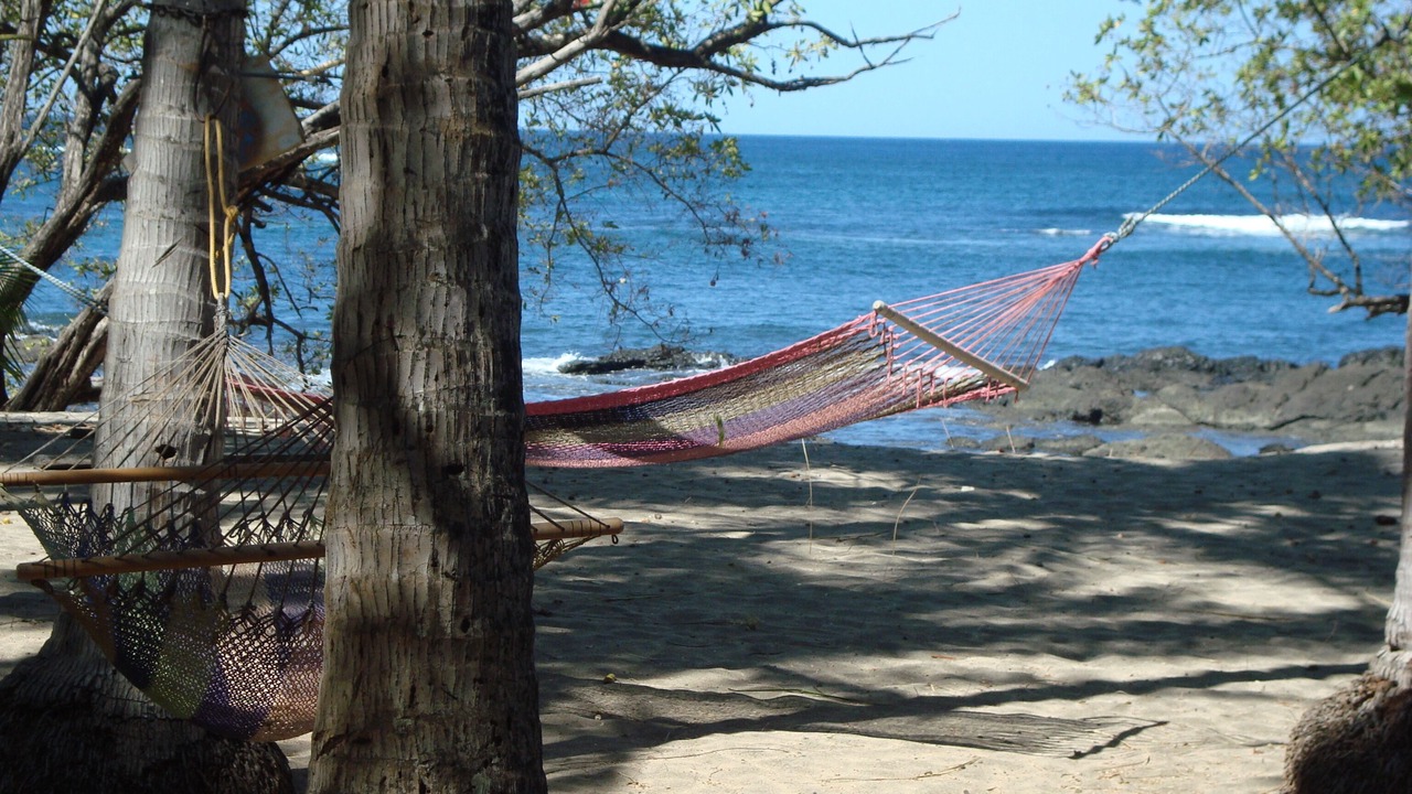 Photo of Others in Marbella