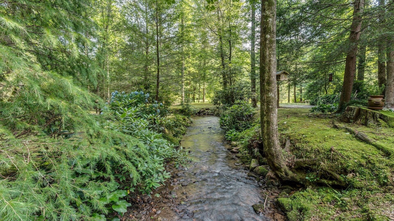 Photo of Outdoor in Ellijay