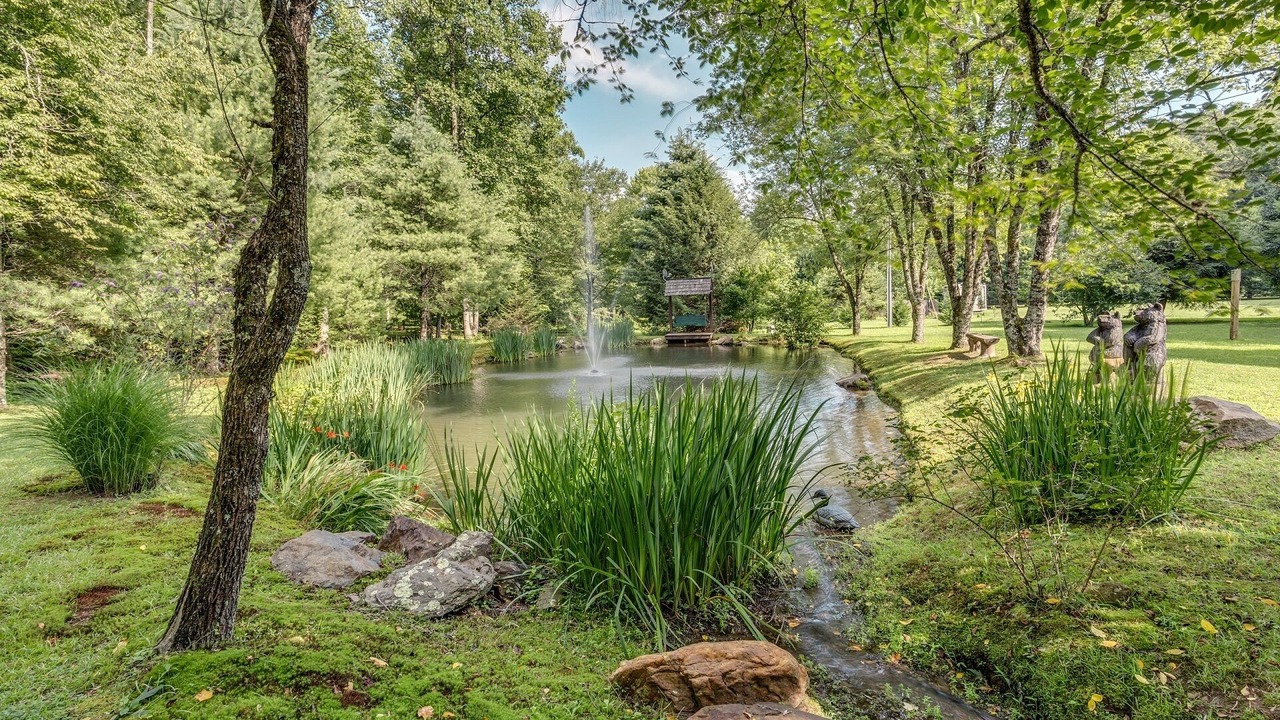 Photo of Outdoor in Ellijay