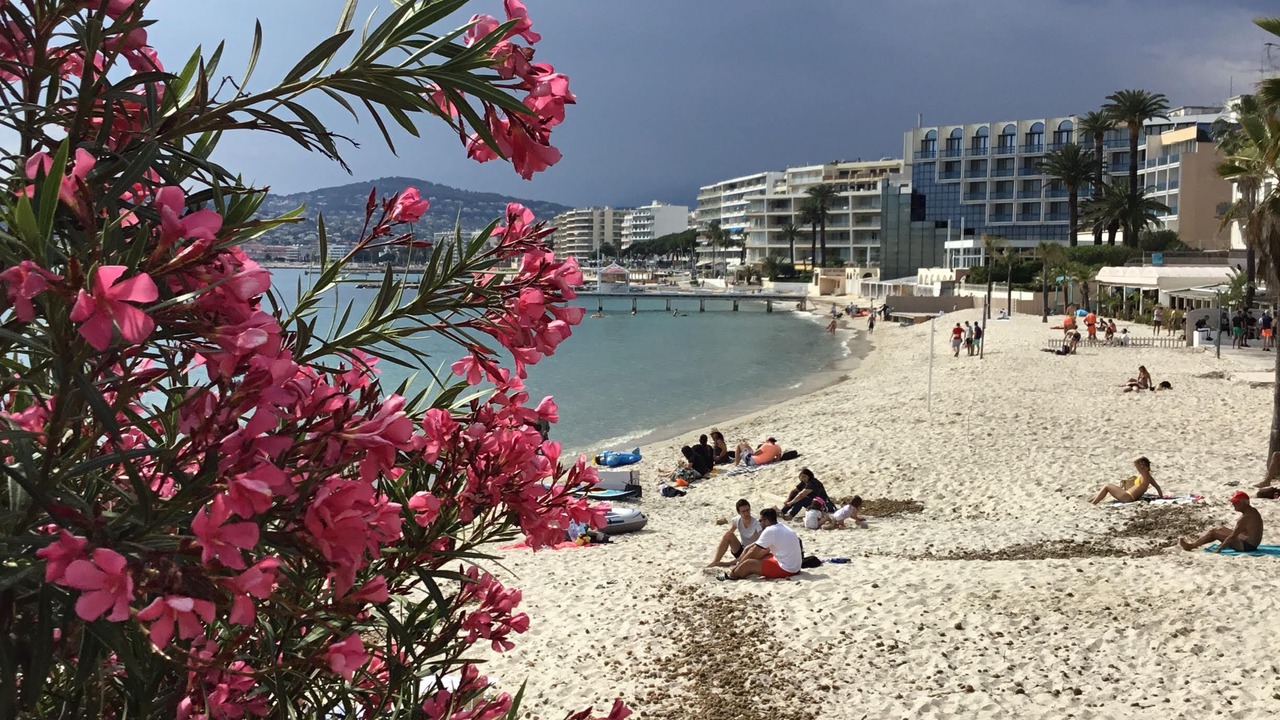 Photo of Others in Juan-les-Pins