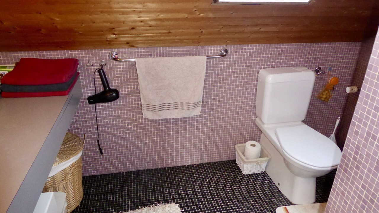Photo of Bathroom in Andelfingen District