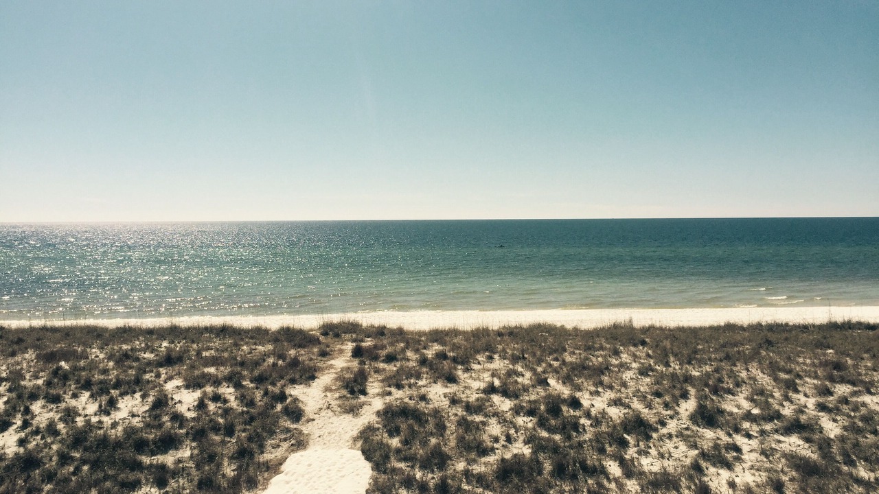 Photo of Others in Navarre Beach