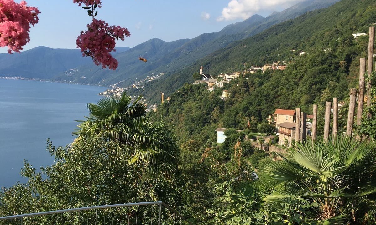Photo of Outdoor in Ronco sopra Ascona