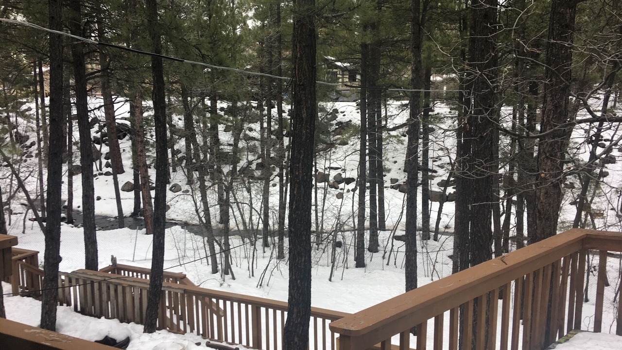 Photo of Bedroom in Munds Park