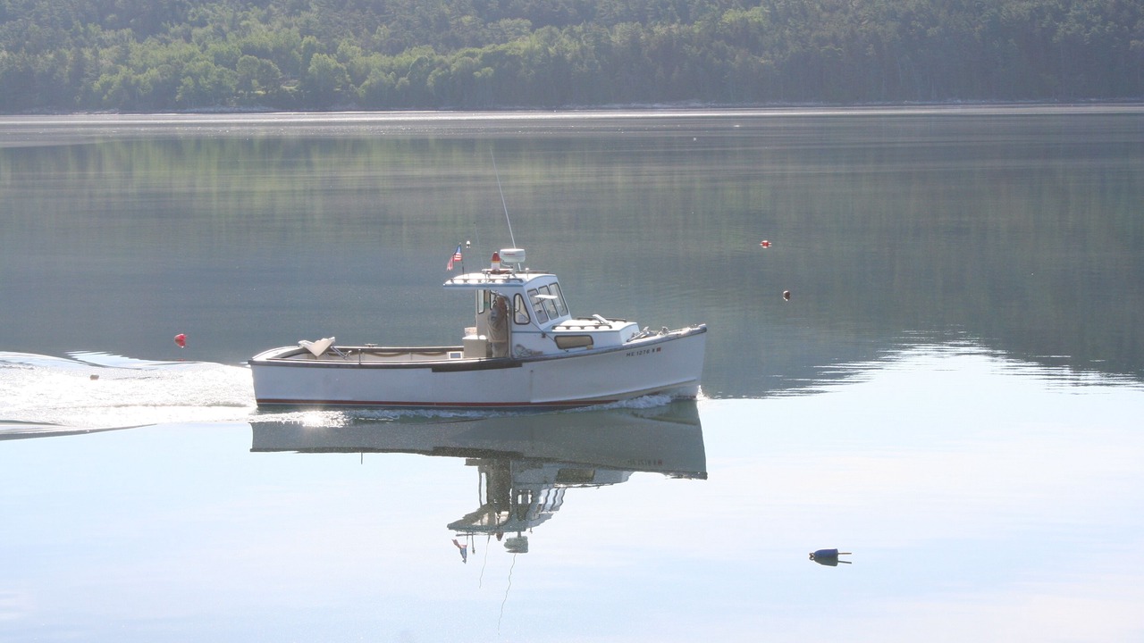 Photo of Others in Hall Quarry