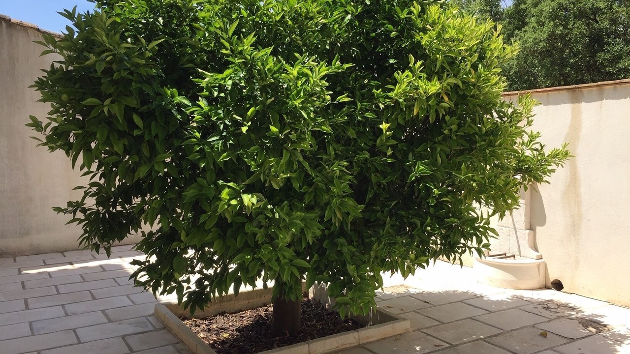 Photo of Outdoor in Le Muy