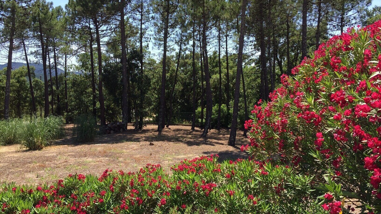 Photo of Outdoor in Le Muy
