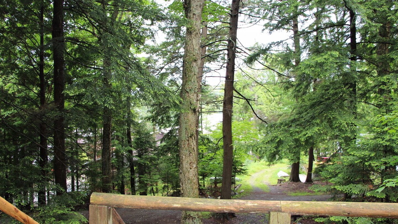 Photo of Outdoor in Saranac Lake