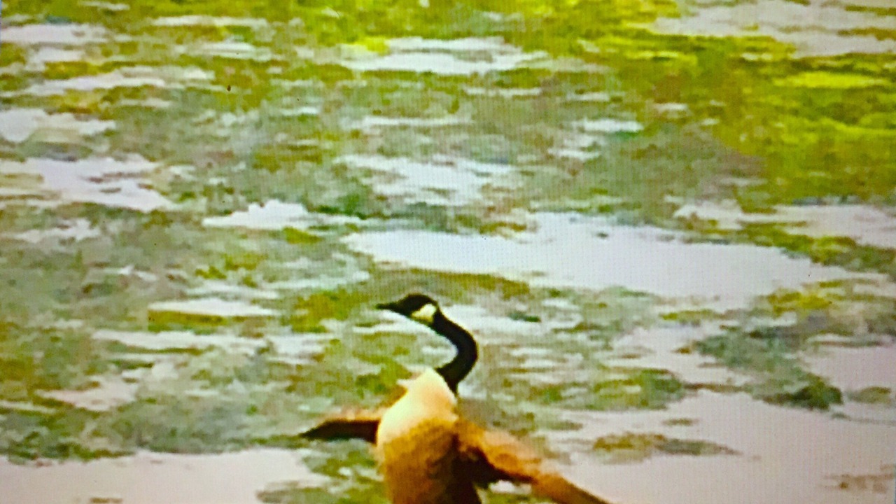 Photo of Others in Hull
