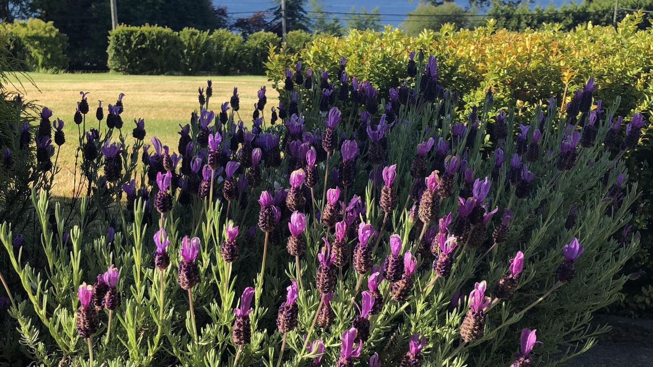Photo of Outdoor in Otter Point