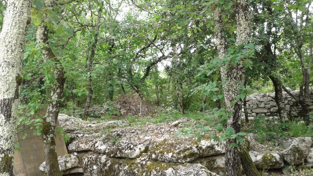 Photo of Outdoor in Labeaume