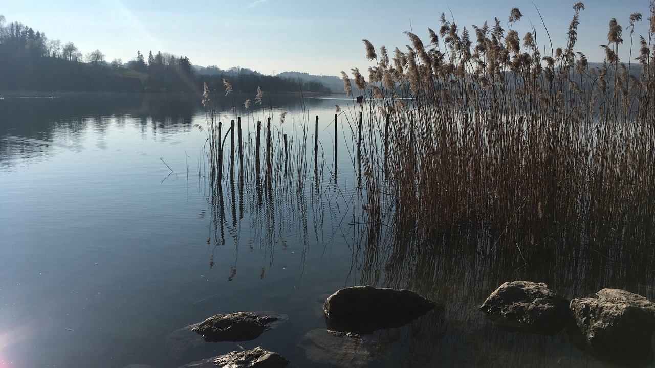 Photo of Others in Aiguebelette-le-Lac