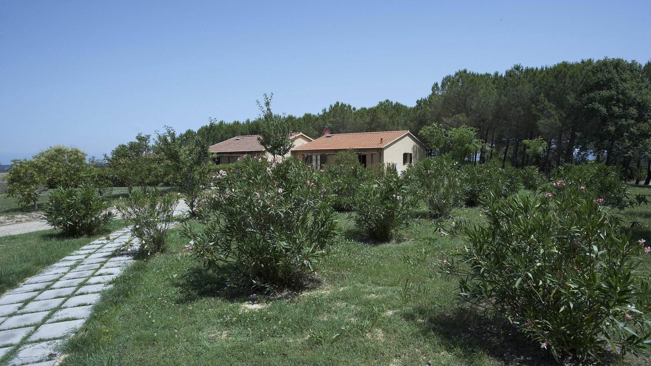 Photo of Outdoor in Montaione